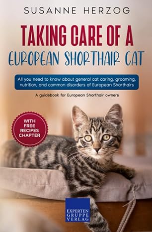 taking care of a european shorthair cat all you need to know about general cat caring grooming nutrition and