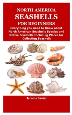 north america seashells for beginners everything you need to know about north american seashells species and