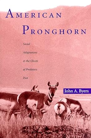 american pronghorn social adaptations and the ghosts of predators past 1st edition john a byers 0226086992,