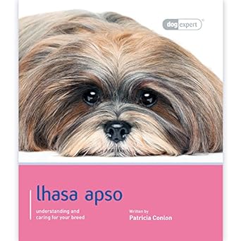 Lhasa Apso Dog Expert