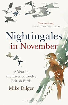 nightingales in november a year in the lives of twelve british birds 1st edition mike dilger 1472962427,