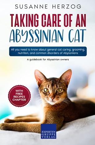 taking care of an abyssinian cat all you need to know about general cat caring grooming nutrition and common