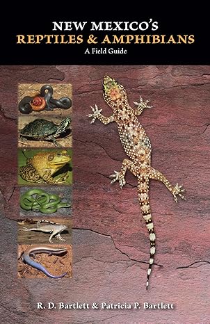 new mexicos reptiles and amphibians a field guide 1st edition r d bartlett ,patricia p bartlett 0826352073,