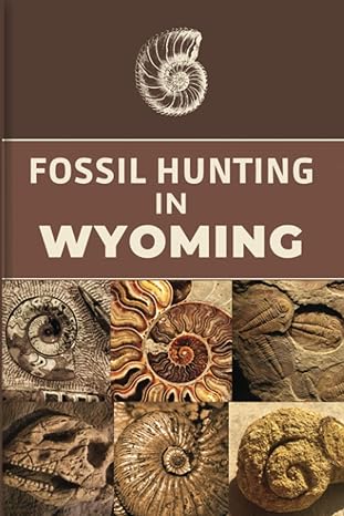 fossil hunting in wyoming for local rockhounds and amateur paleontologists keep track and accurate record of