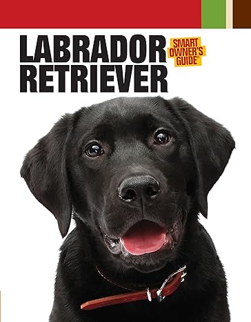 labrador retriever smart owner s guide 1st edition dog fancy magazine 1593787677, 978-1593787677
