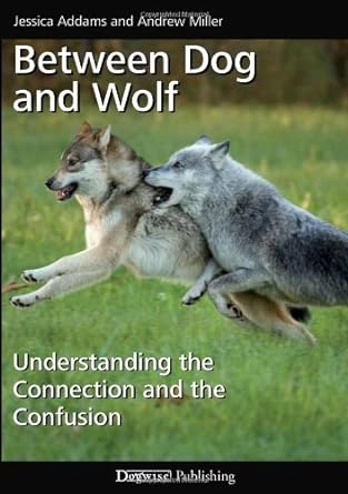 between dog and wolf understanding the connection and the confusion 1st edition jessica addams ,andrew miller