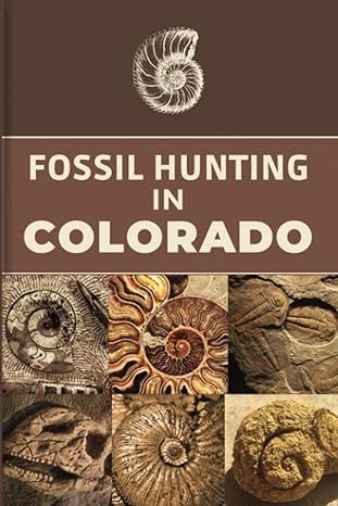 fossil hunting in colorado for local rockhounds and amateur paleontologists keep track and accurate record of