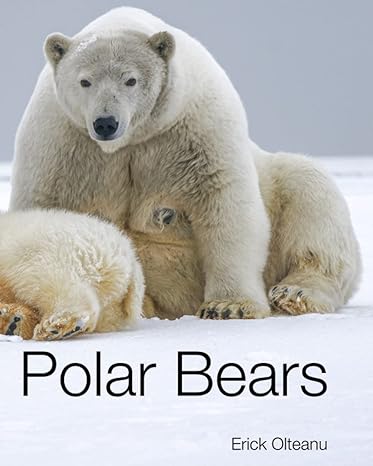polar bears facts and photos about this interesting and unique animal 1st edition erick olteanu b09k1ltsh6,