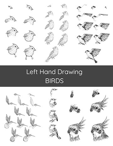 left hand drawing birds learn to draw birds a guide for left handed artists 1st edition evan clarke