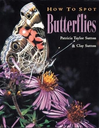 how to spot butterflies patricia taylor sutton and clay sutton photography by patricia taylor sutton and clay