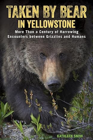 Taken By Bear In Yellowstone More Than A Century Of Harrowing Encounters Between Grizzlies And Humans