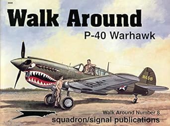 p 40 warhawk walk around no 8 1st edition lou drendel 0897473612, 978-0897473613