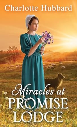 miracles at promise lodge  charlotte hubbard 1420156276, 978-1420156270