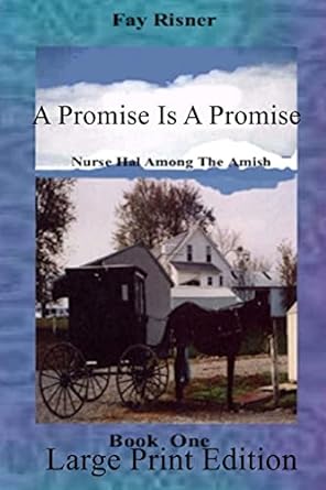 a promise is a promise nurse hal among the amish book one  fay risner 1535099003, 978-1535099004