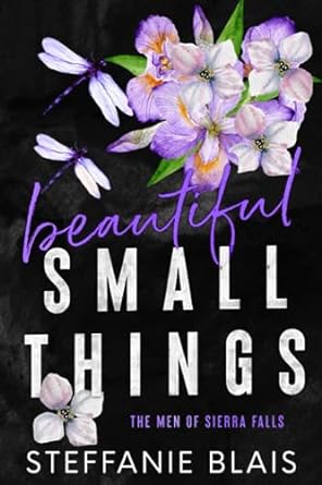 beautiful small things  steffanie blais b0chgklym6, 979-8860184077