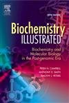 biochemistry illustrated biochemistry and molecular biology in the post genomic era 5th edition peter n.