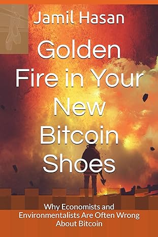 golden fire in your new bitcoin shoes why economists and environmentalists are often wrong about bitcoin 1st