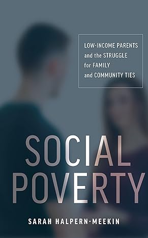 social poverty low income parents and the struggle for family and community ties 1st edition sarah