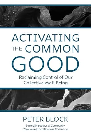 activating the common good reclaiming control of our collective well being 1st edition peter block