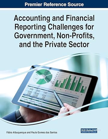 accounting and financial reporting challenges for government non profits and the private sector 1st edition
