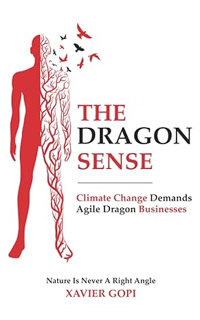 the dragon sense climate change demands agile dragon businesses 1st edition xavier gopi 979-8849530840