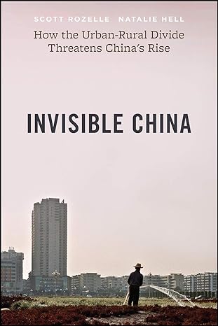 invisible china how the urban rural divide threatens china s rise 1st edition scott rozelle ,natalie hell