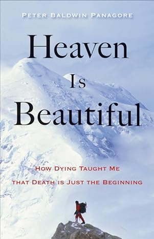 heaven is beautiful how dying taught me that death is just the beginning 1st edition peter baldwin panagore