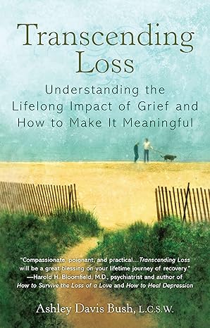transcending loss understanding the lifelong impact of grief and how to make it meaningful 1st edition ashley