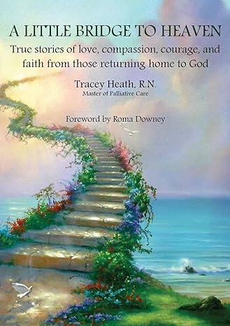 a little bridge to heaven true stories of love compassion courage and faith from those returning home to god
