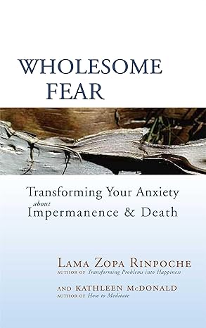 wholesome fear transforming your anxiety about impermanence and death 1st edition lama thubten zopa rinpoche