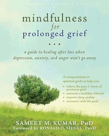 mindfulness for prolonged grief a guide to healing after loss when depression anxiety and anger wont go away