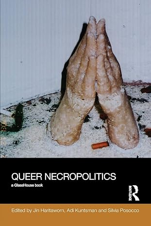 queer necropolitics 1st edition jin haritaworn ,adi kuntsman ,silvia posocco 1138915084 ,  978-1138915084