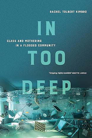 in too deep class and mothering in a flooded community 1st edition rachel kimbro 0520377737, 978-0520377738