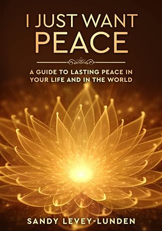 i just want peace a guide to lasting peace in your life and in the world 1st edition sandy levey lunden