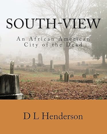 south view an african american city of the dead 1st edition d l henderson 0998577200, 978-0998577203