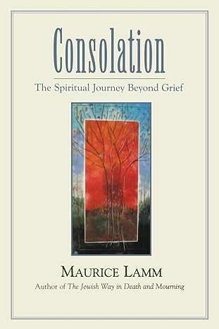 consolation the spiritual journey beyond grief 1st edition maurice lamm 0827608152, 978-0827608153