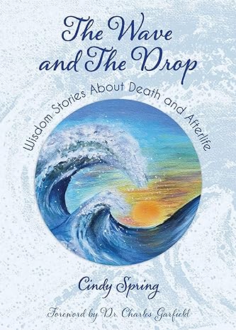 the wave and the drop wisdom stories about death and afterlife 1st edition cindy spring 0999698907,