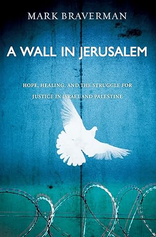 a wall in jerusalem hope healing and the struggle for justice in israel and palestine 1st edition mark