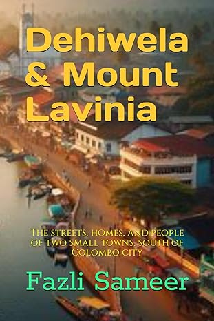 dehiwela and mount lavinia the streets homes and people of two small towns south of colombo city 1st edition