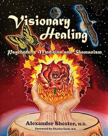 visionary healing psychedelic medicine and shamanism 1st edition alexander shester m d 1587906341,