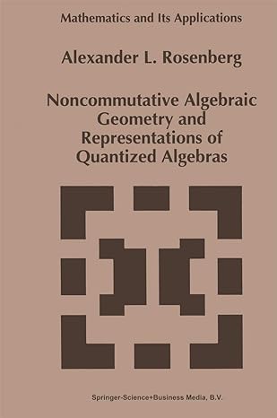noncommutative algebraic geometry and representations of quantized algebras 1st edition a rosenberg