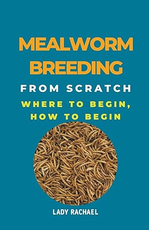 mealworm breeding from scratch where to begin how to begin 1st edition lady rachael b0clvsz7rp, 979-8223400882