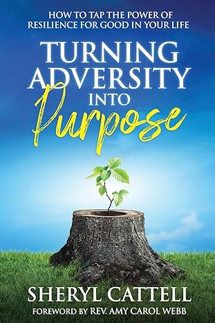 turning adversity into purpose how to tap the power of resilience for good in your life 1st edition sheryl