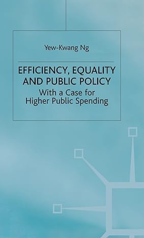 efficiency equality and public policy with a case for higher public spending 1st edition y ng 0333671651,