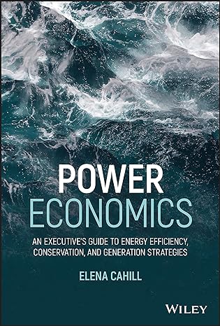 power economics an executives guide to energy efficiency conservation and generation strategies 1st edition