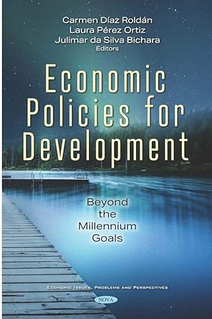 economic policies for development beyond the millennium goals 1st edition carmen diaz roldan ,laura perez