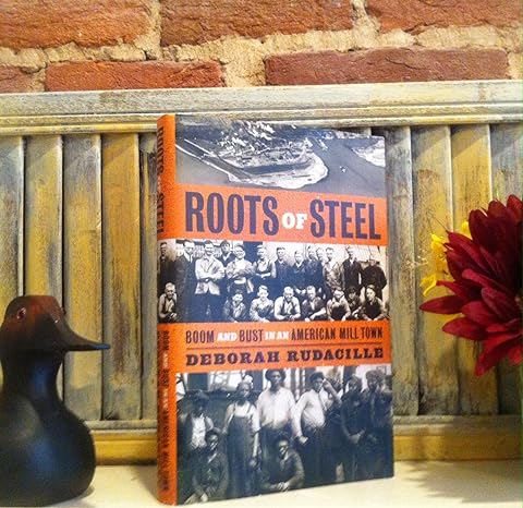 roots of steel boom and bust in an american mill town 1st edition deborah rudacille 0375423680, 978-0375423680