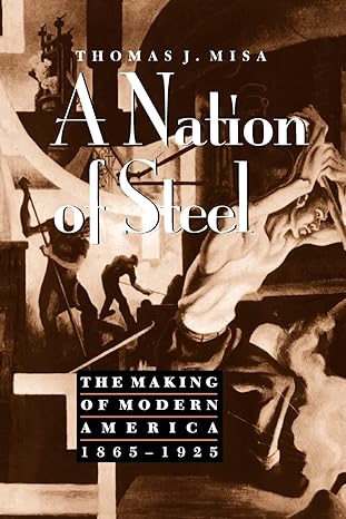 a nation of steel the making of modern america 1865 1925 new edition thomas j misa 0801860520, 978-0801860522