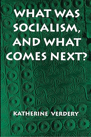 what was socialism and what comes next 1st edition katherine verdery 069101132x, 978-0691011325