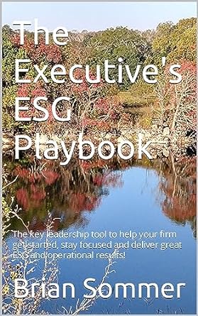 the executives esg playbook the key leadership tool to help your firm get started stay focused and deliver